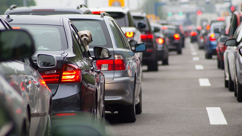 Por la Argentina circulan 14,3 millones de vehículos